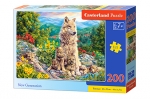 200 