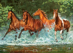  Castorland, B-030361, ,    , 300 