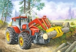  Castorland, B-06366, , 60
