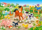  Castorland, B-13197,  , 120 