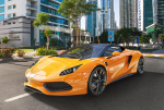���� Castorland, B-52950, ��������� ARRINERA HUSSARYA , 500 �������